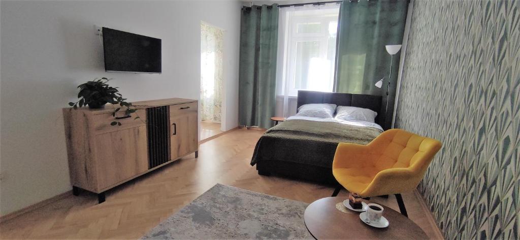Apartament przy Parku - One-Bedroom Apartment