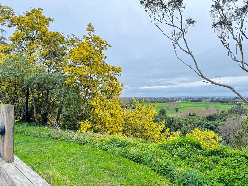 Delight Accommodation - Resim 16