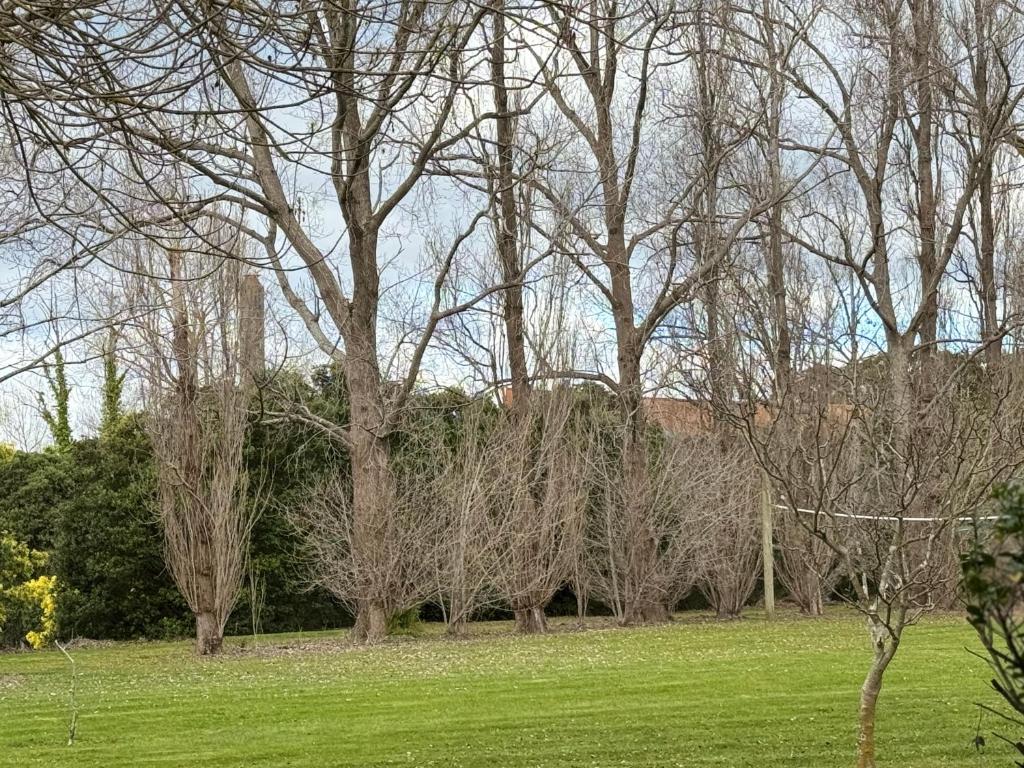 Delight Accommodation - Resim 22