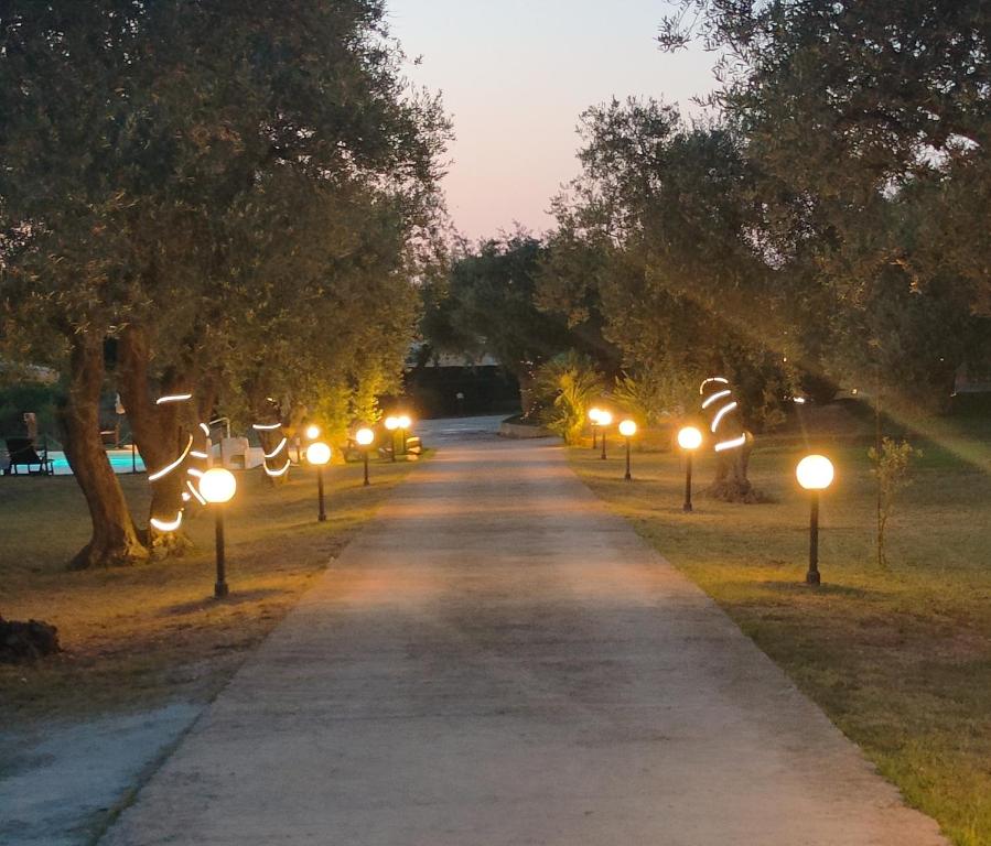 Zahrada ubytování Villa Marianna