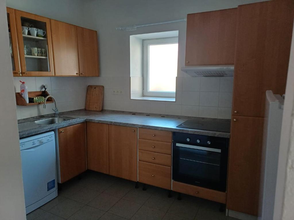 Kuchyň nebo kuchyňský kout v ubytování Apartmán Silvie