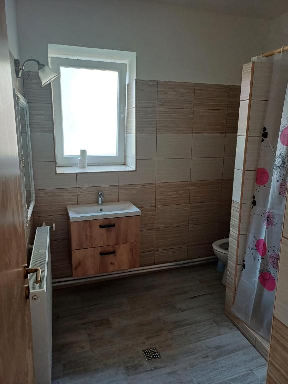Koupelna v ubytování Apartmán Silvie