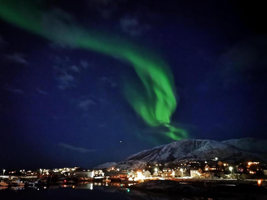 un'immagine dell'aurora boreale nel cielo di 1. etg i Dampskipsbrygga, Lødingen havn a Lødingen