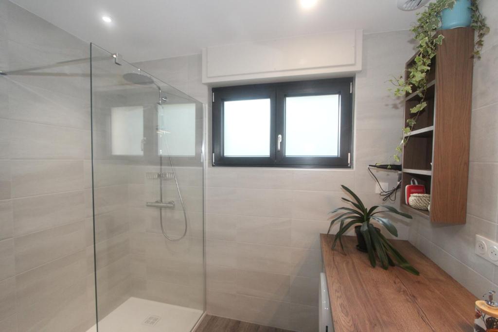 Koupelna v ubytování L'Impasse en Famille, appartement 2-6 personnes piscine et spa privés