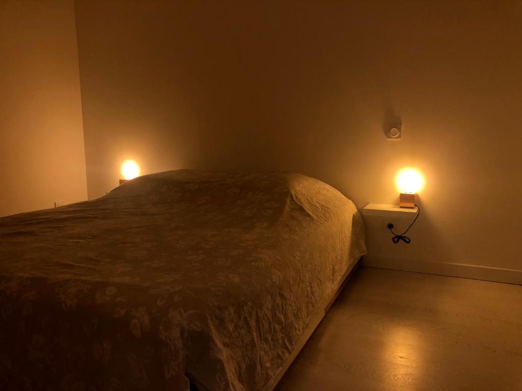 - une chambre avec un lit et deux lumières sur le mur dans l'établissement Logement au calme, à Montpellier
