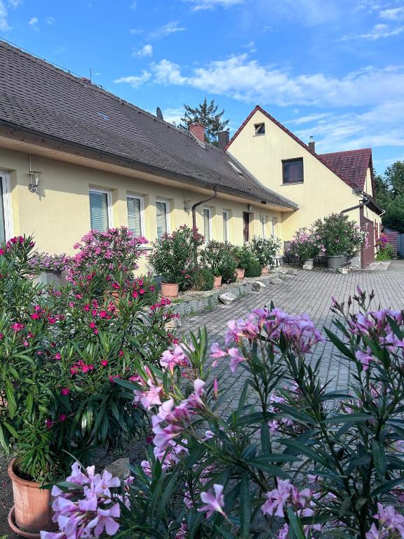 a group of flowers in front of a building at Seeland Lodge in Hilpoltstein