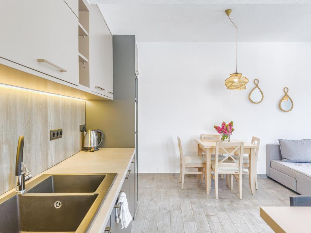 Kuchyň nebo kuchyňský kout v ubytování Almira Hotel