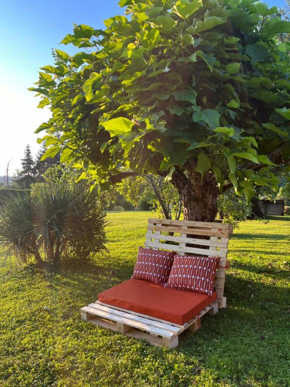 un banc assis sous un arbre dans un champ dans l'établissement Jolie maison traditionnelle, à Allassac