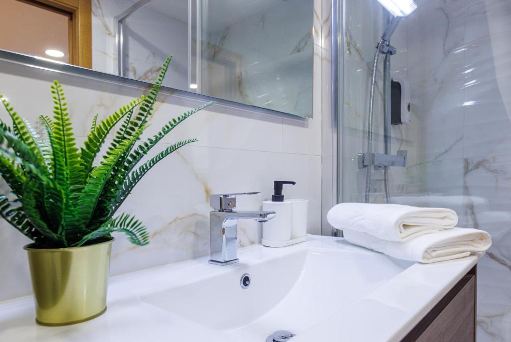 Live in Aveiro Rossio - 3