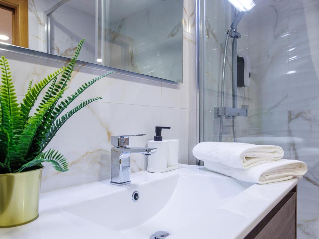 Live in Aveiro Rossio - 10