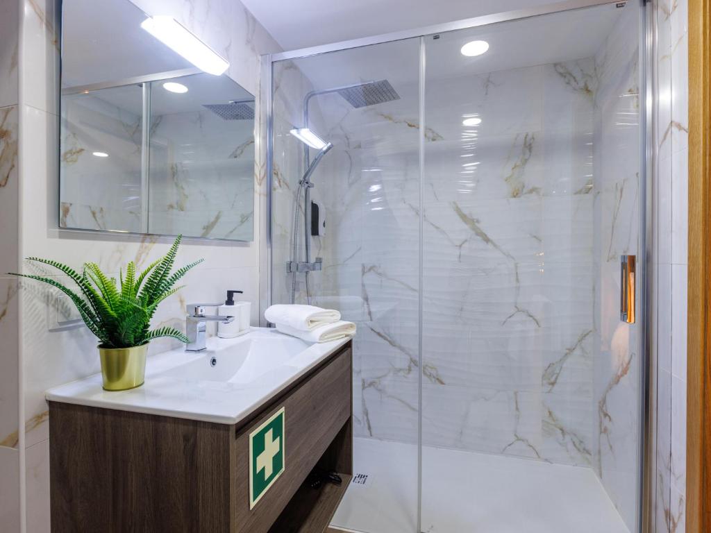 Live in Aveiro Rossio - 15