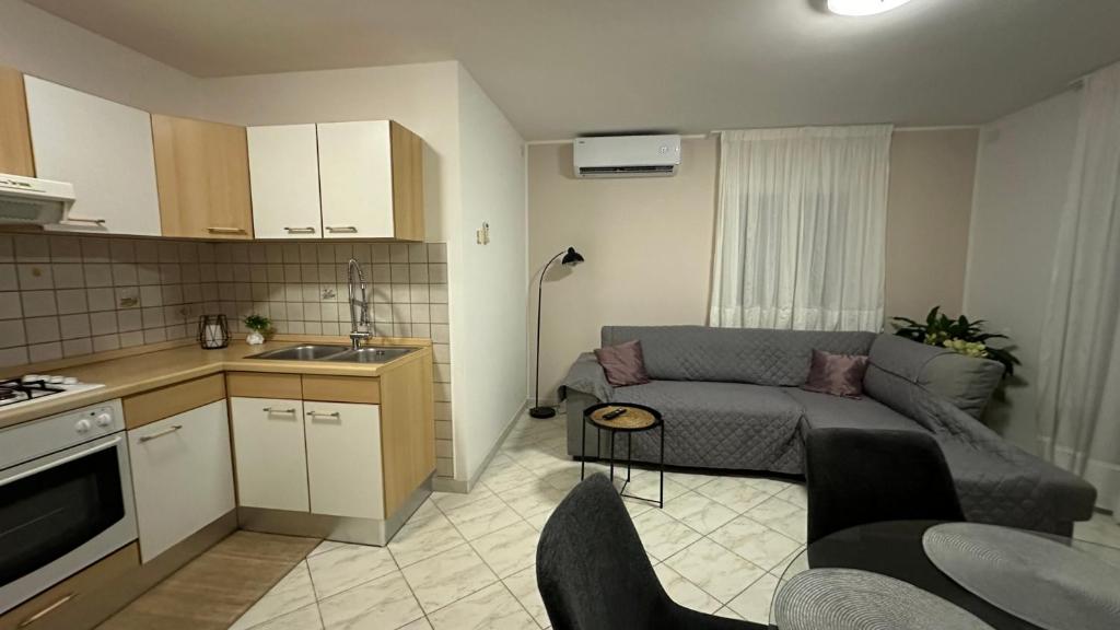 Kuchyň nebo kuchyňský kout v ubytování Apartments Aleksandra 1132