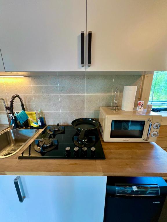 Kuchyň nebo kuchyňský kout v ubytování Luxury off grid house