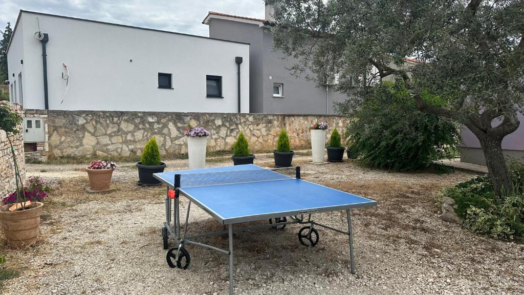 Stolní tenis v ubytování Apartments Aleksandra 1132 nebo okolí