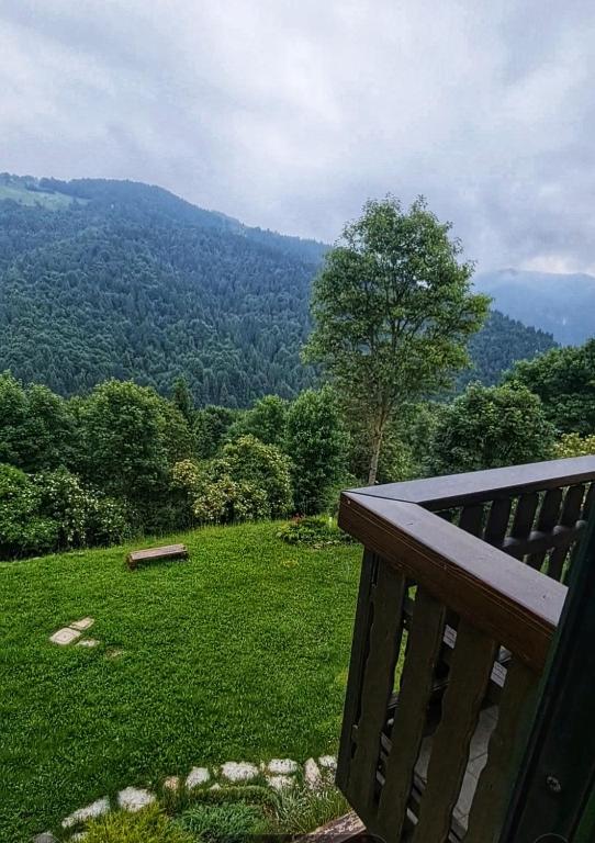 Příroda nedaleko apartmánu