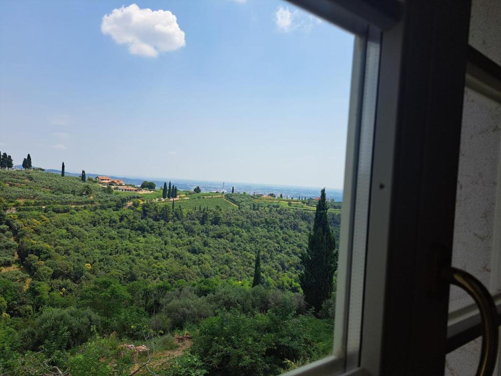 La Vineria di San Mattia - 13