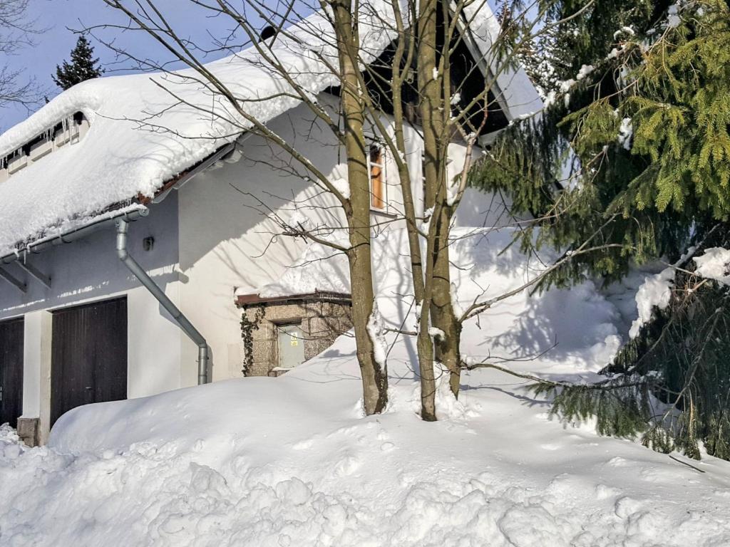 Το Chalet Sedmidomí by Interhome τον χειμώνα