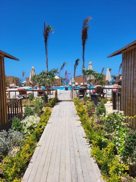 Bazén v ubytování Tabara Beach Safy Bay nebo v jeho okolí