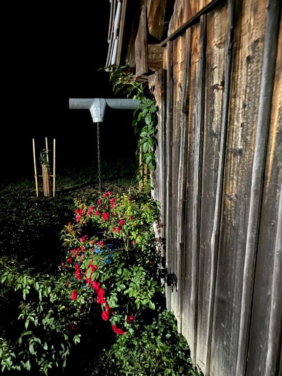 Aed väljaspool majutusasutust Böhmerwald fun