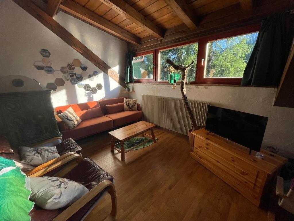 a living room with a couch and a tv at Splendida Carezza in Carezza al Lago