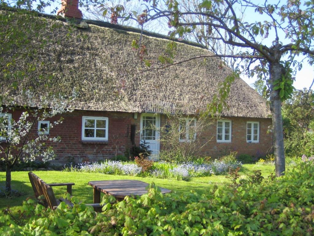 Zahrada ubytování Friesenhaus Anke