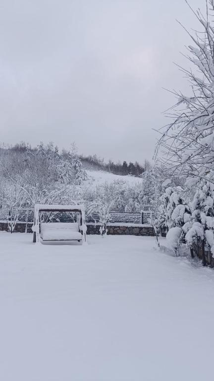 Iznik Candarlı Ciftligi v zimě