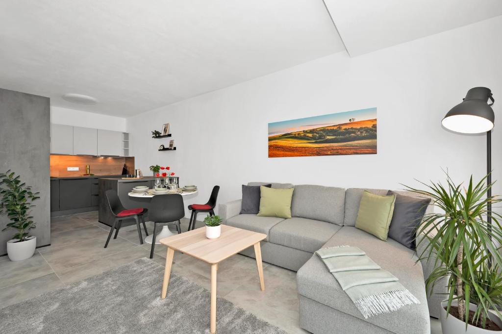 Fully equipped Apartments with Terraces, Free garage parking, Netflix & AC - by Apartmány Šlapanice cz - One-Bedroom Apartment With Balcony And Water View