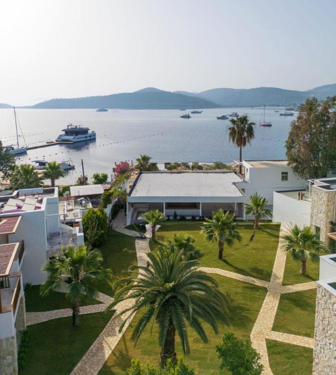 an aerial view of a house with palm trees at Mavi Suite Turkbuku in Golturkbuku