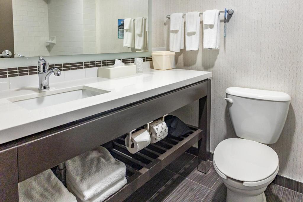 Holiday Inn Hotel & Suites St.Catharines-Niagara, an IHG Hotel - 