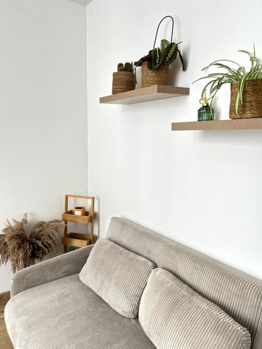 - un salon avec un canapé et des étagères ornées de plantes dans l'établissement Studio parisien au cœur de Paris, à Paris