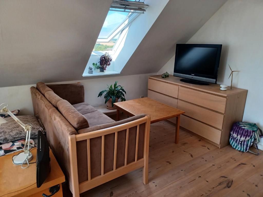 TV a/nebo společenská místnost v ubytování Kasted Hills Aarhus