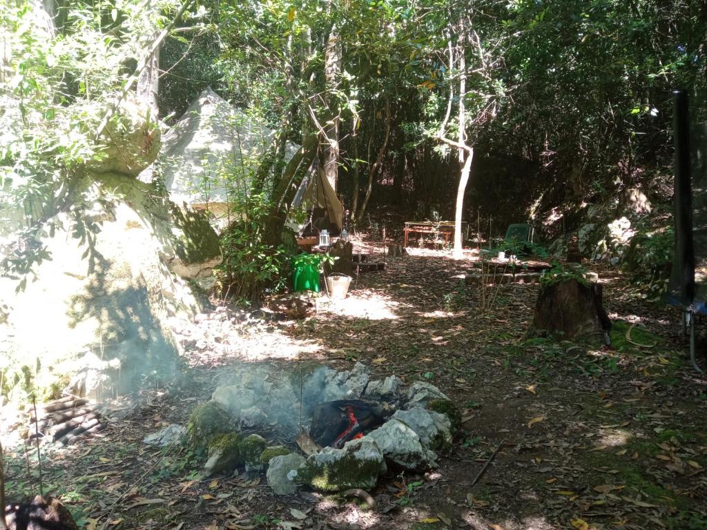 Zahrada ubytování Glamping La Maeta