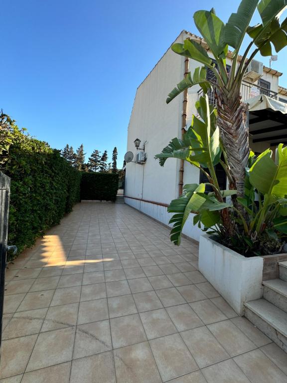 Κήπος έξω από το Villa a San Vito lo Capo Minaudo