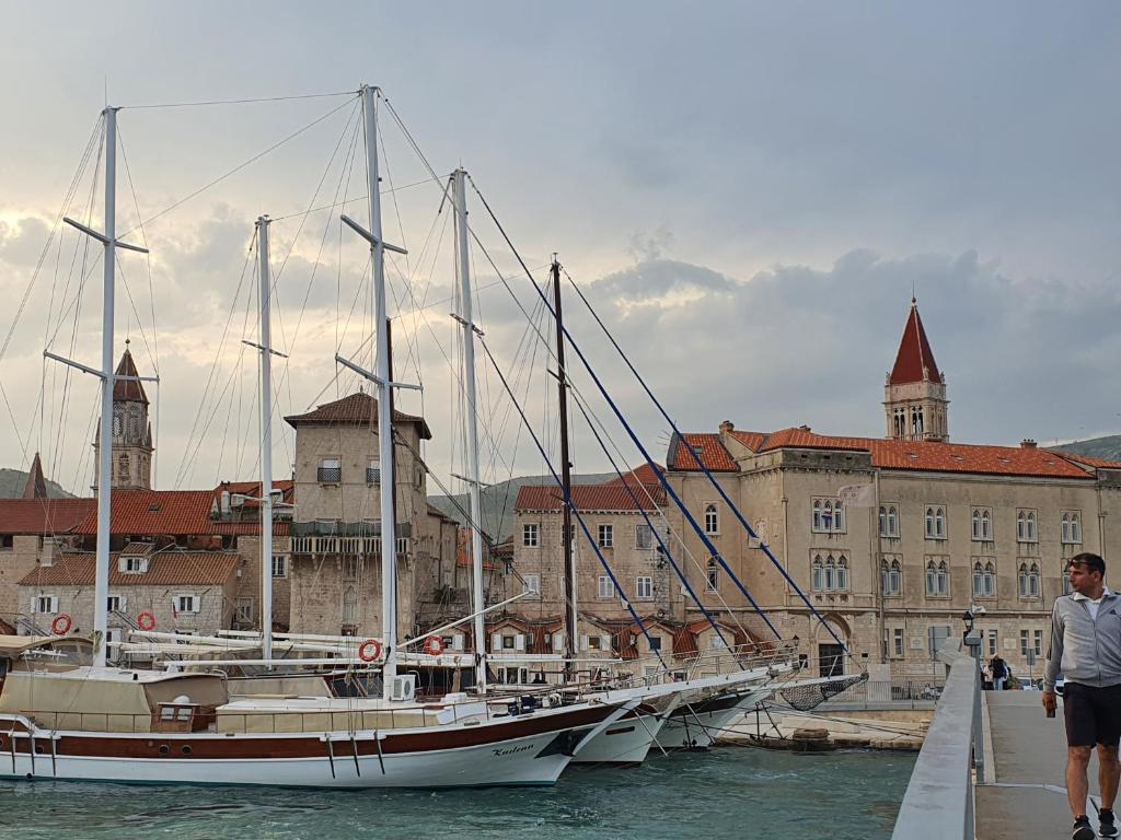 Violeta Hvar photo