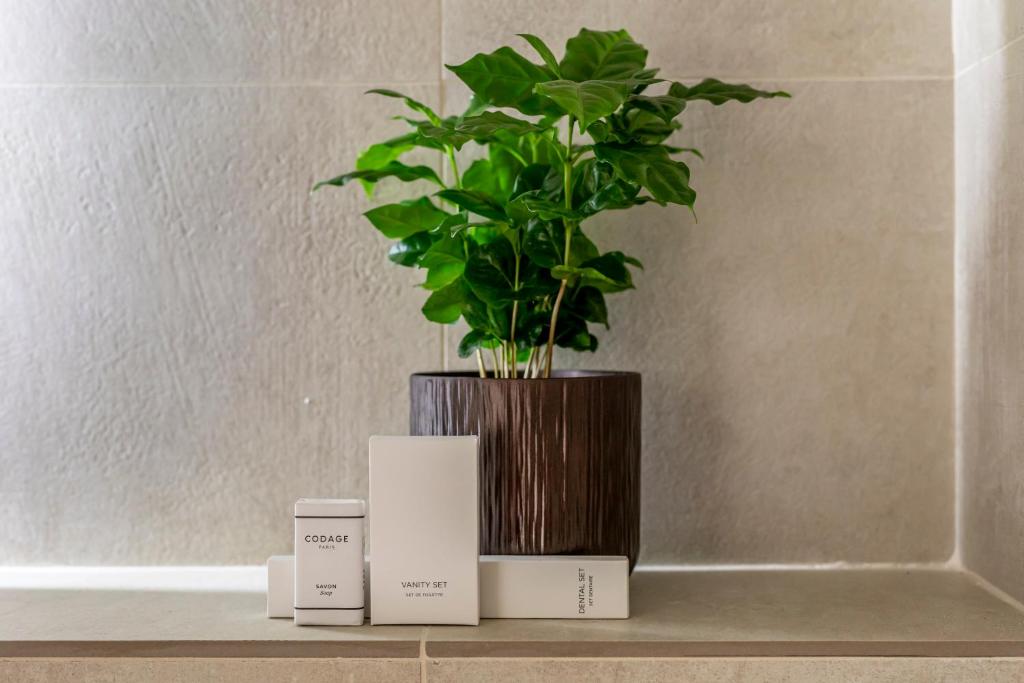 Le Monsieur By Sweett - Resim 8