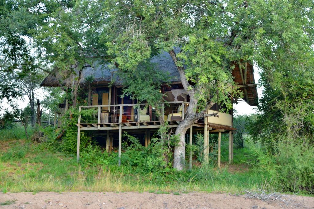 Zahrada ubytování Rhino Post Safari Lodge