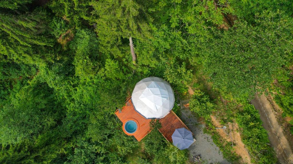 Příroda nedaleko luxury tent