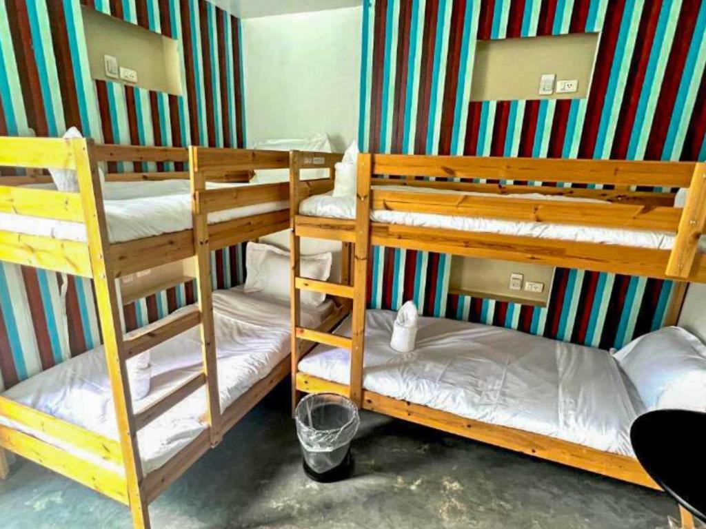 
Bed in 4-Bed Female Dormitory Room
