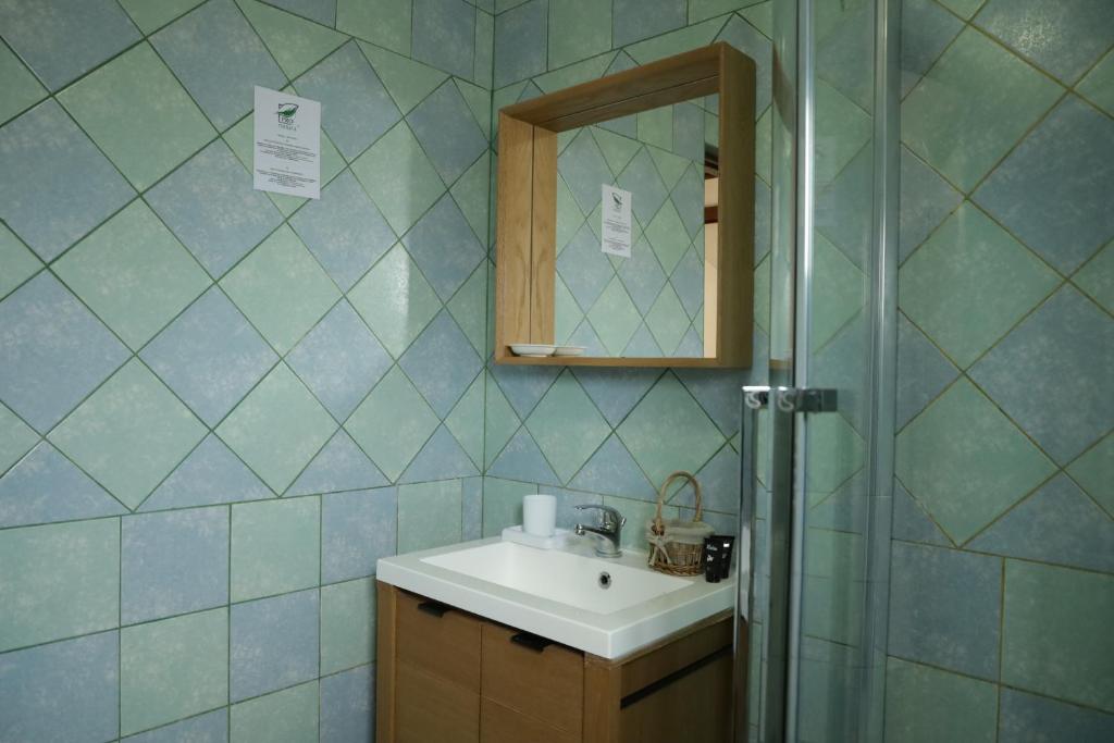 Koupelna v ubytování Casa Colinelor