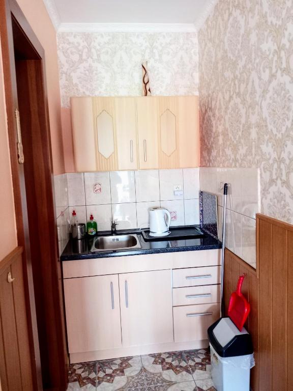 Kuchyň nebo kuchyňský kout v ubytování Apartmany a Chata Agy