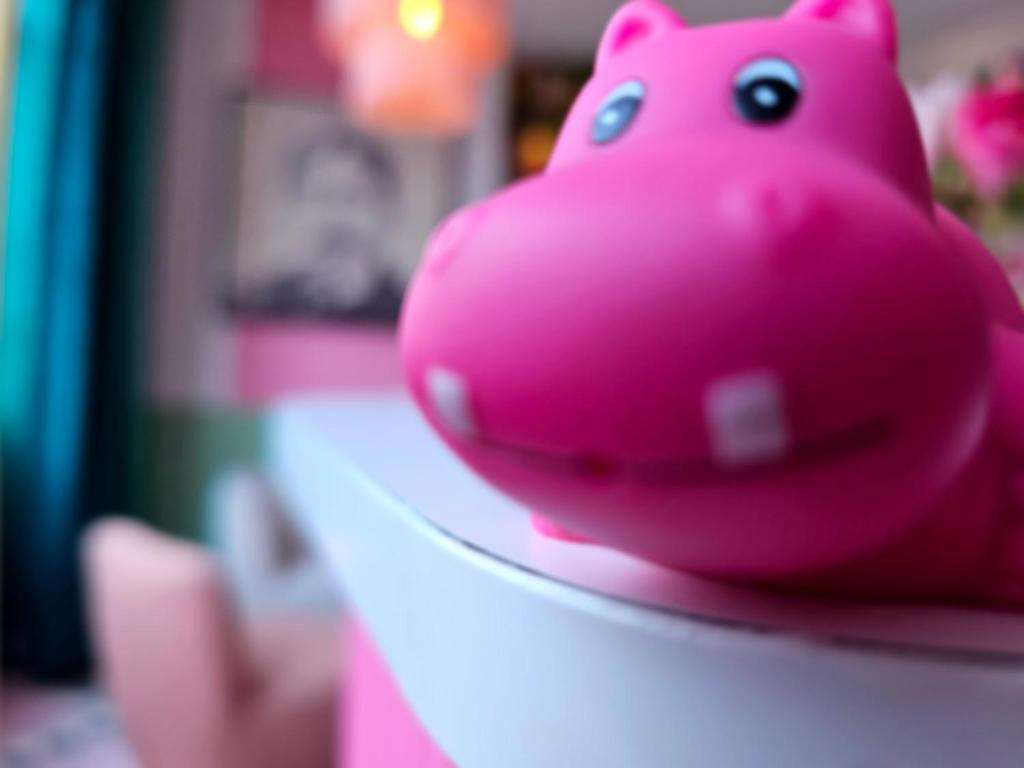 Hotel La Petite Rosa - Resim 21