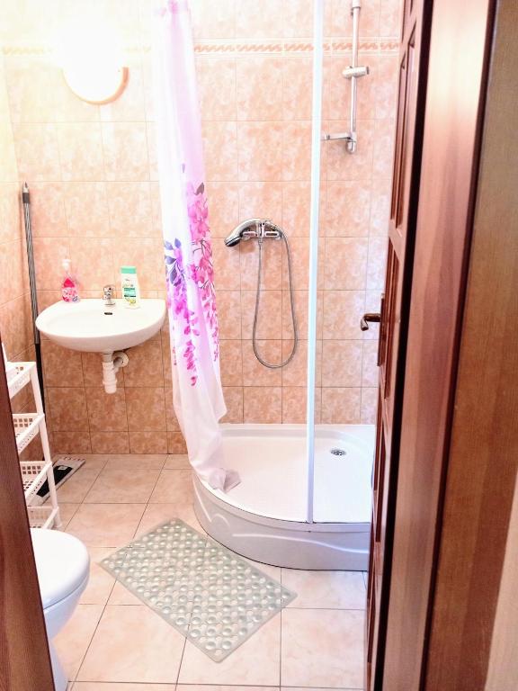 Koupelna v ubytování Apartmany a Chata Agy