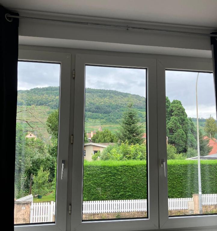 Le cocon – photo 5