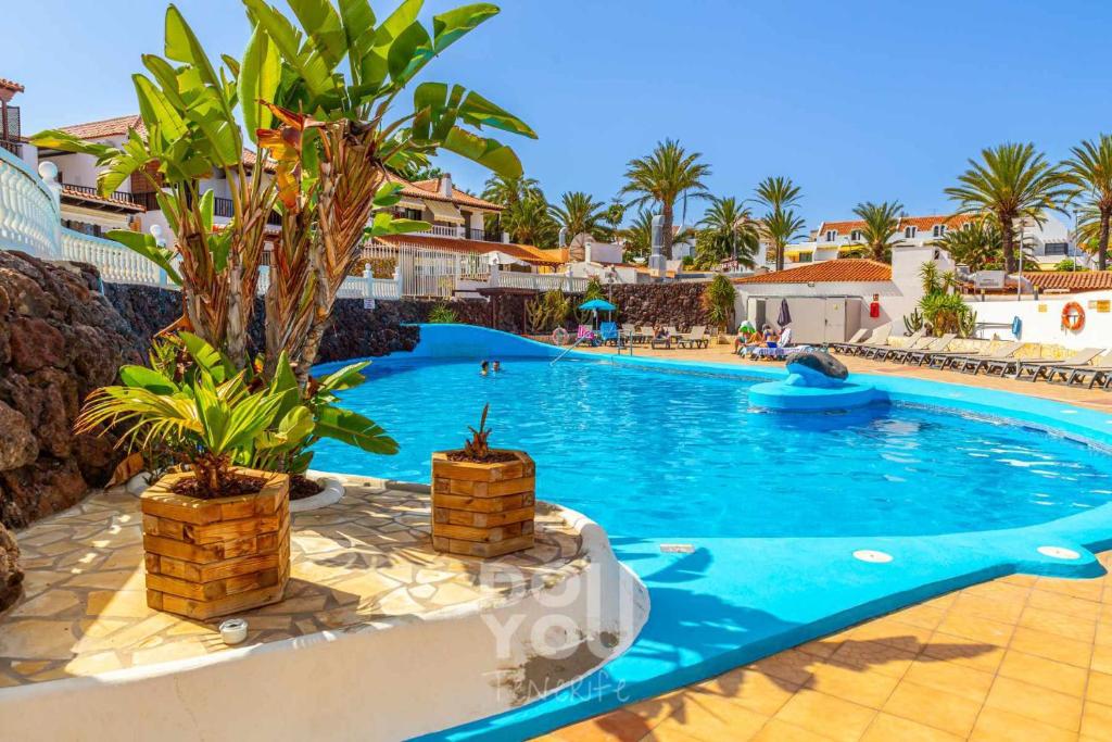 a large swimming pool in a resort with palm trees at Apartment Paraiso Royal in Arona