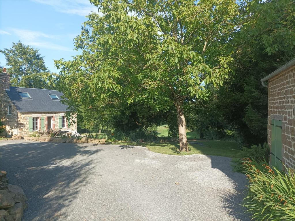 une allée en face d'une maison avec un arbre dans l'établissement Gite Le Nymphéa, La Cambre, à Saint-Aubert-sur-Orne