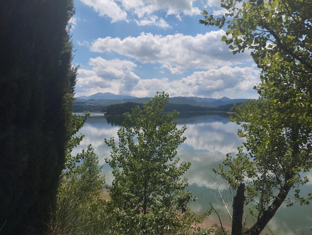 a view of a lake from between two trees at La Guest House di Trisin in SantʼArcangelo