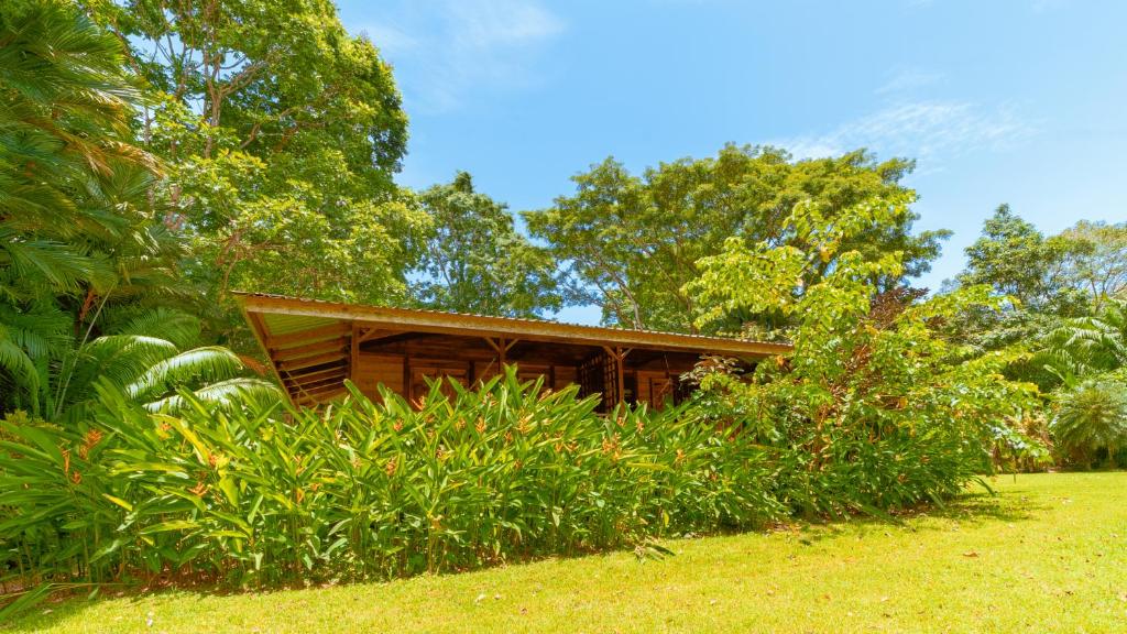 Casa Viva Eco Lodge - Studio