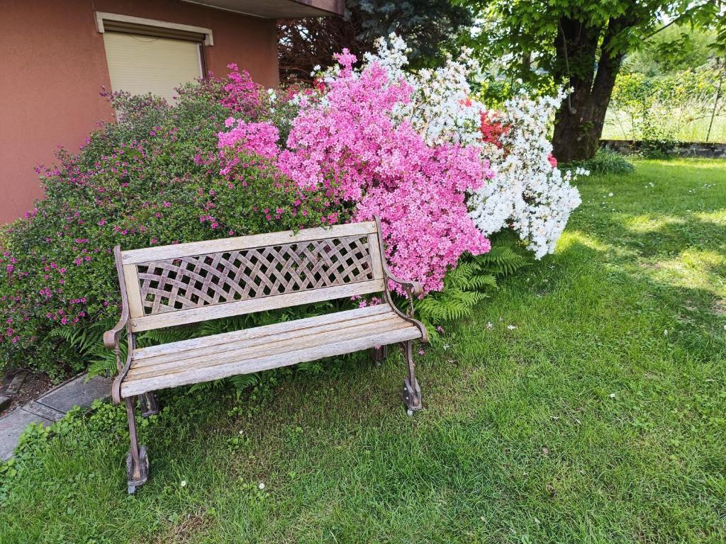 Zahrada ubytování B&B Il Melograno
