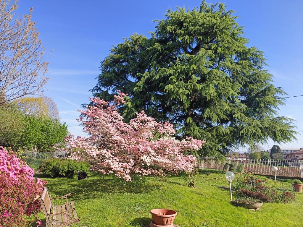 Zahrada ubytování B&B Il Melograno