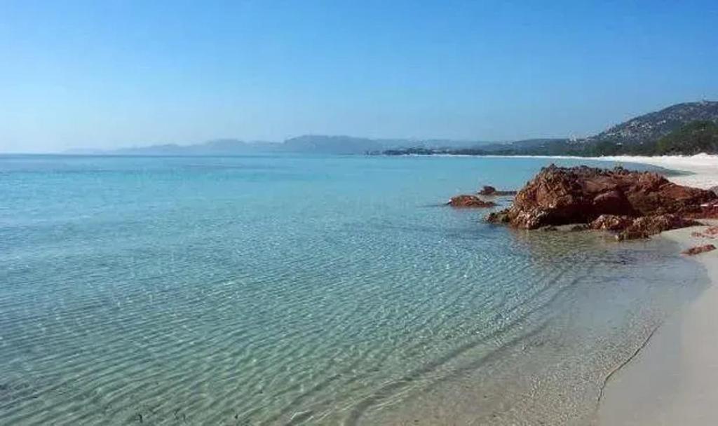 - une vue aérienne sur une plage de rochers et d'eau dans l'établissement Studio charmant à Cervione avec piscine partagée - 30 m², à Cervione
